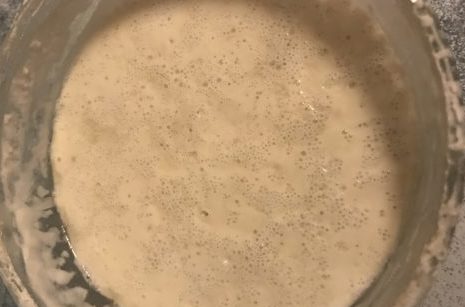 triathlon sourdough starter culture
